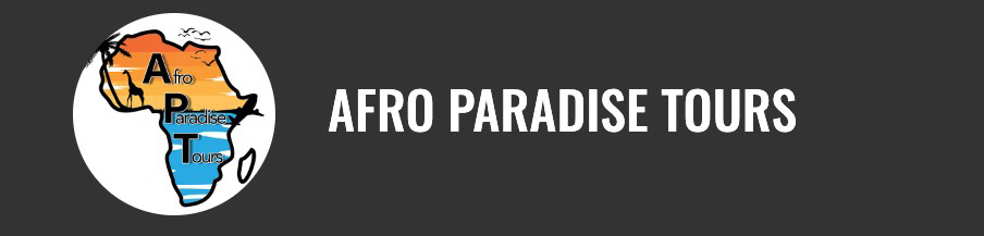 Afro Paradise Tours